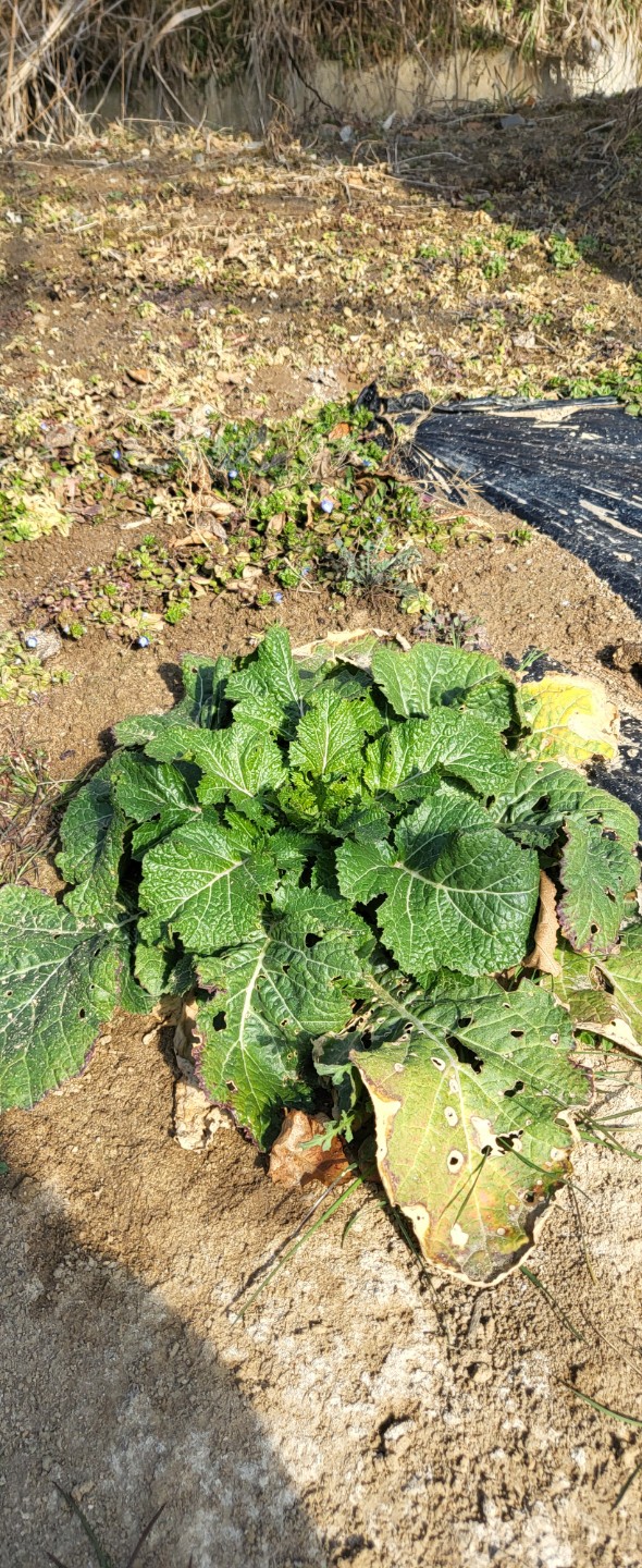 Post image 1
