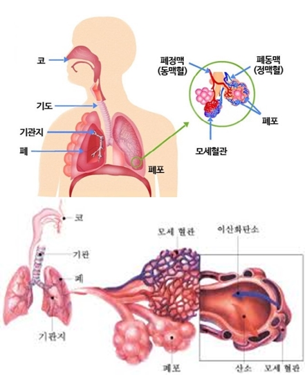 Post image 23