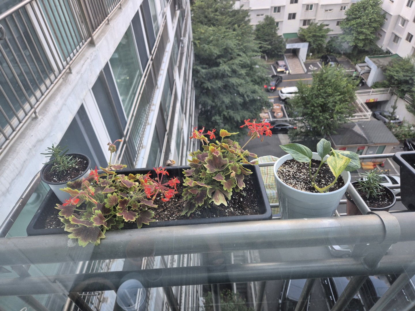 Post image 3