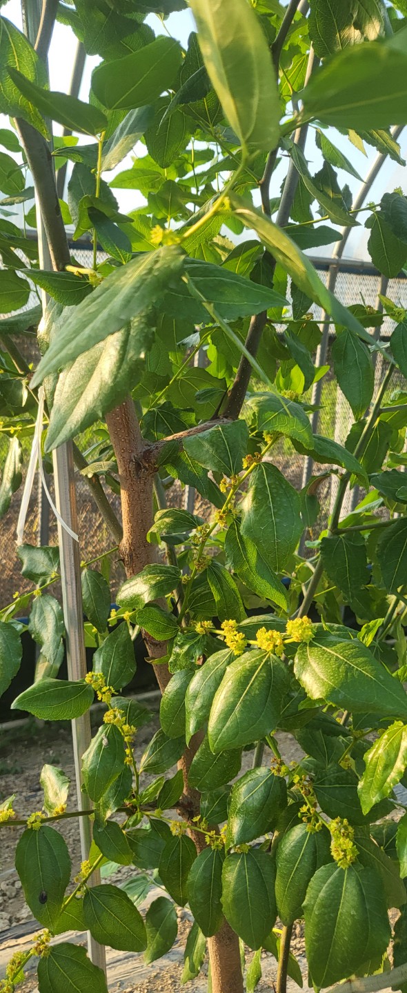 Post image 4