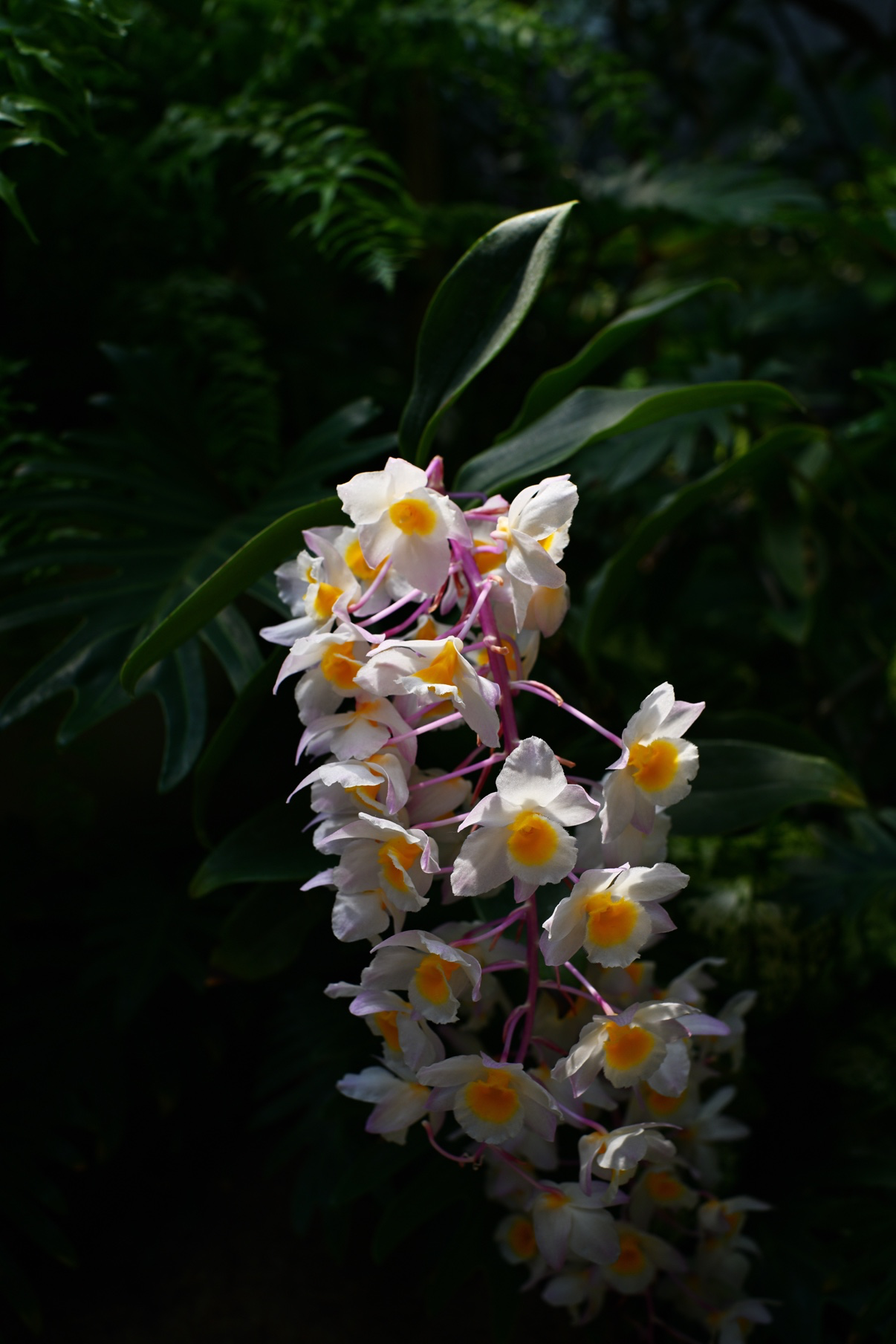 Post image 6