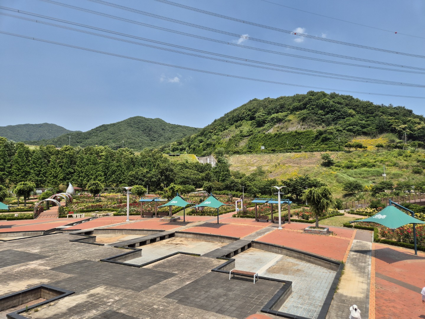 Post image 2