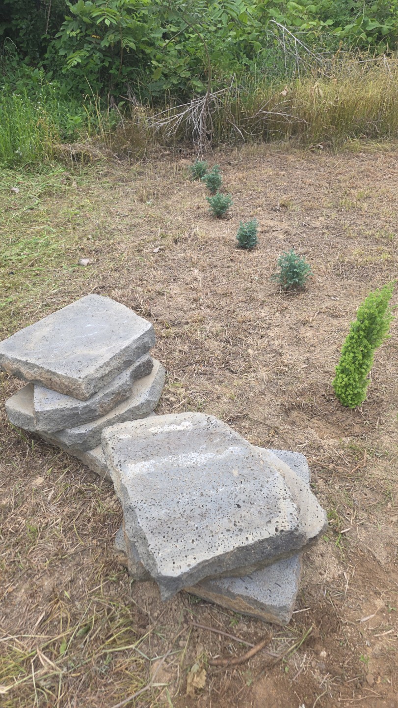 Post image 2