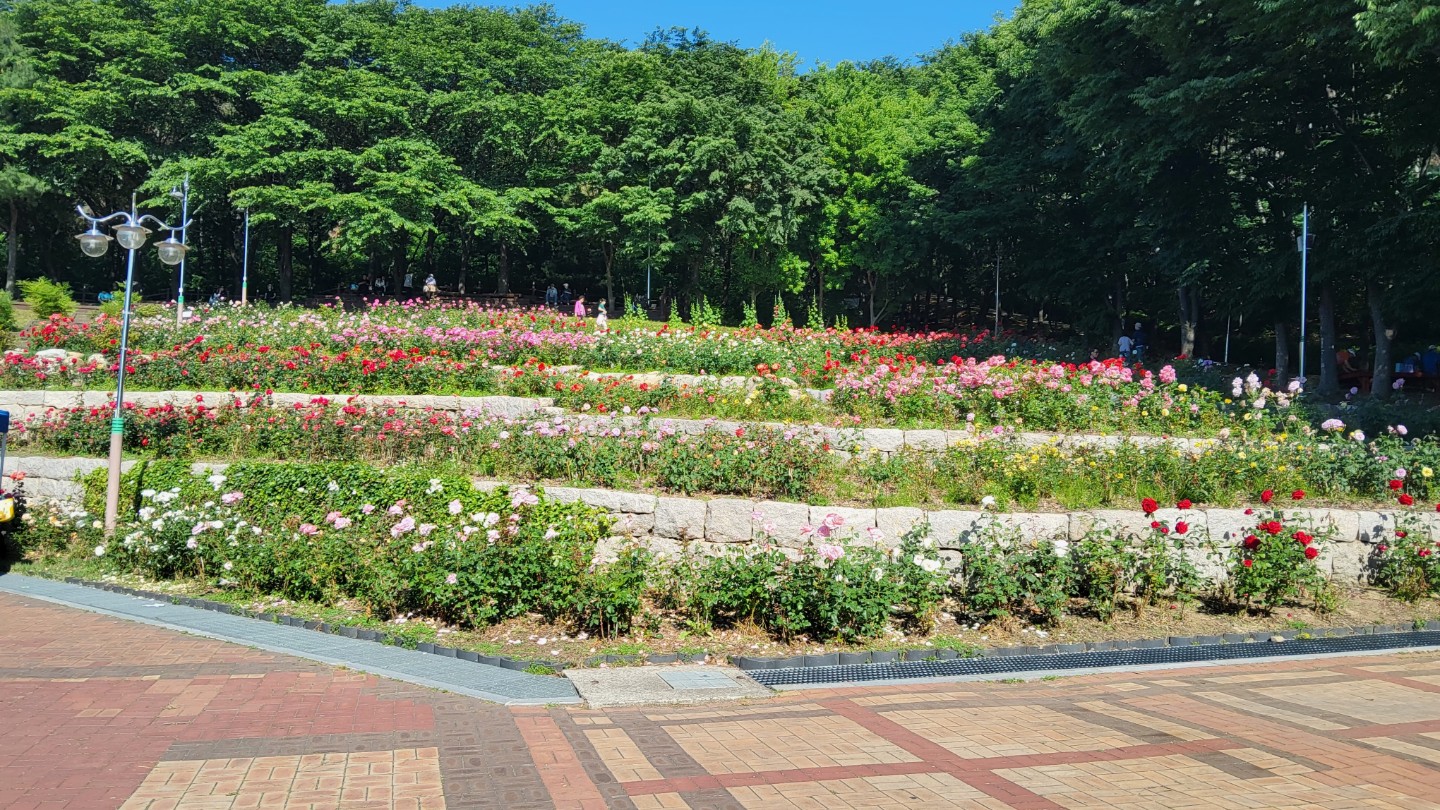 Post image 5