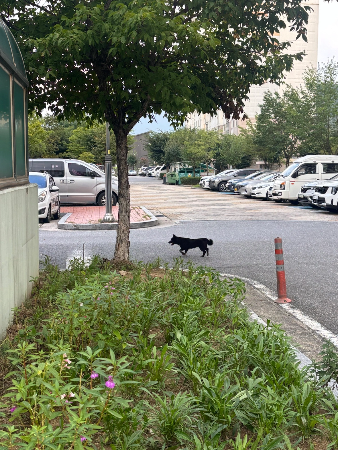 원주태장주공4단지아파트 | 강원특별자치도 원주시 태장동 | 아파트 | 당근 동네 업체