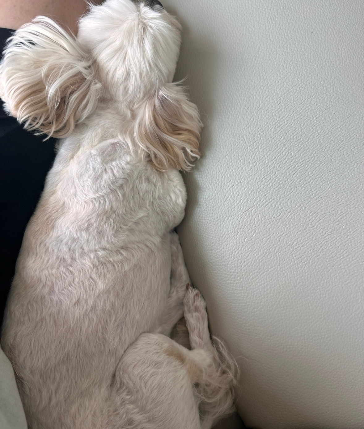 저희 아가의 이모 삼촌 형 누나 되어주실분!