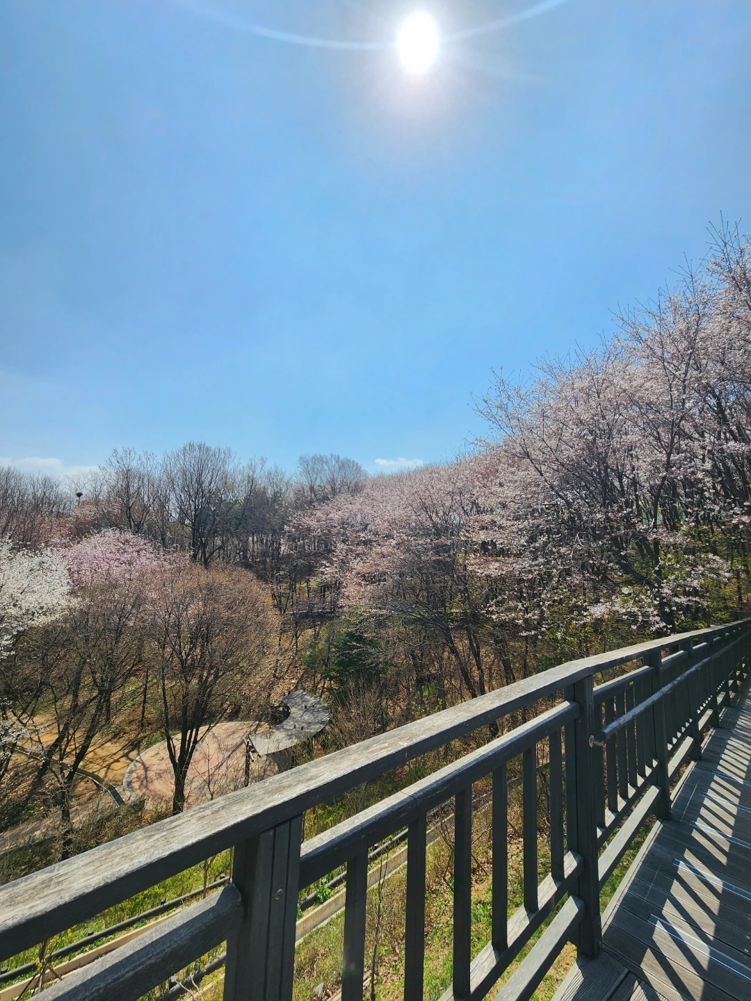 봉화산 동행길