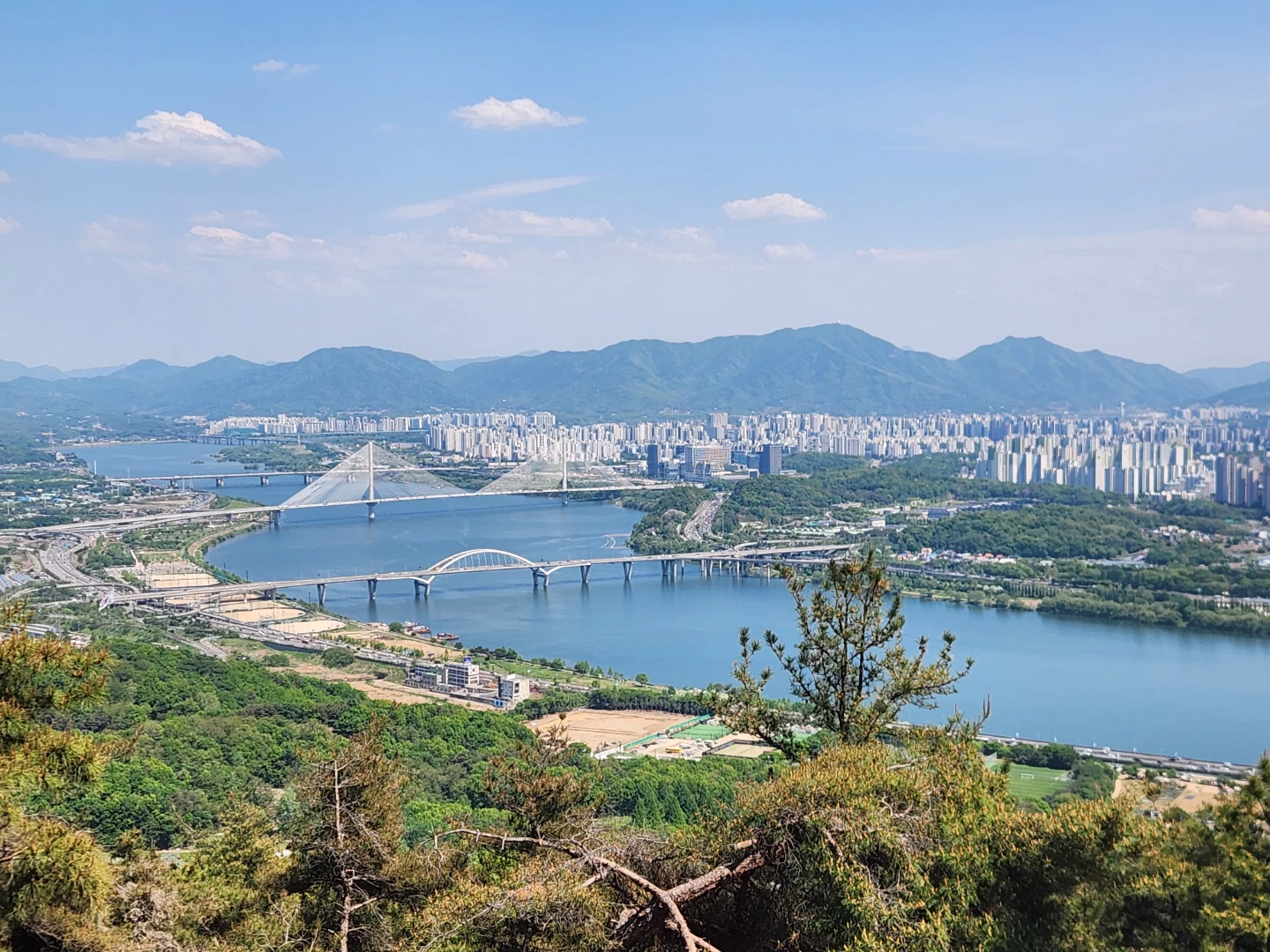 불면증 주요 원인. 멜라토닌