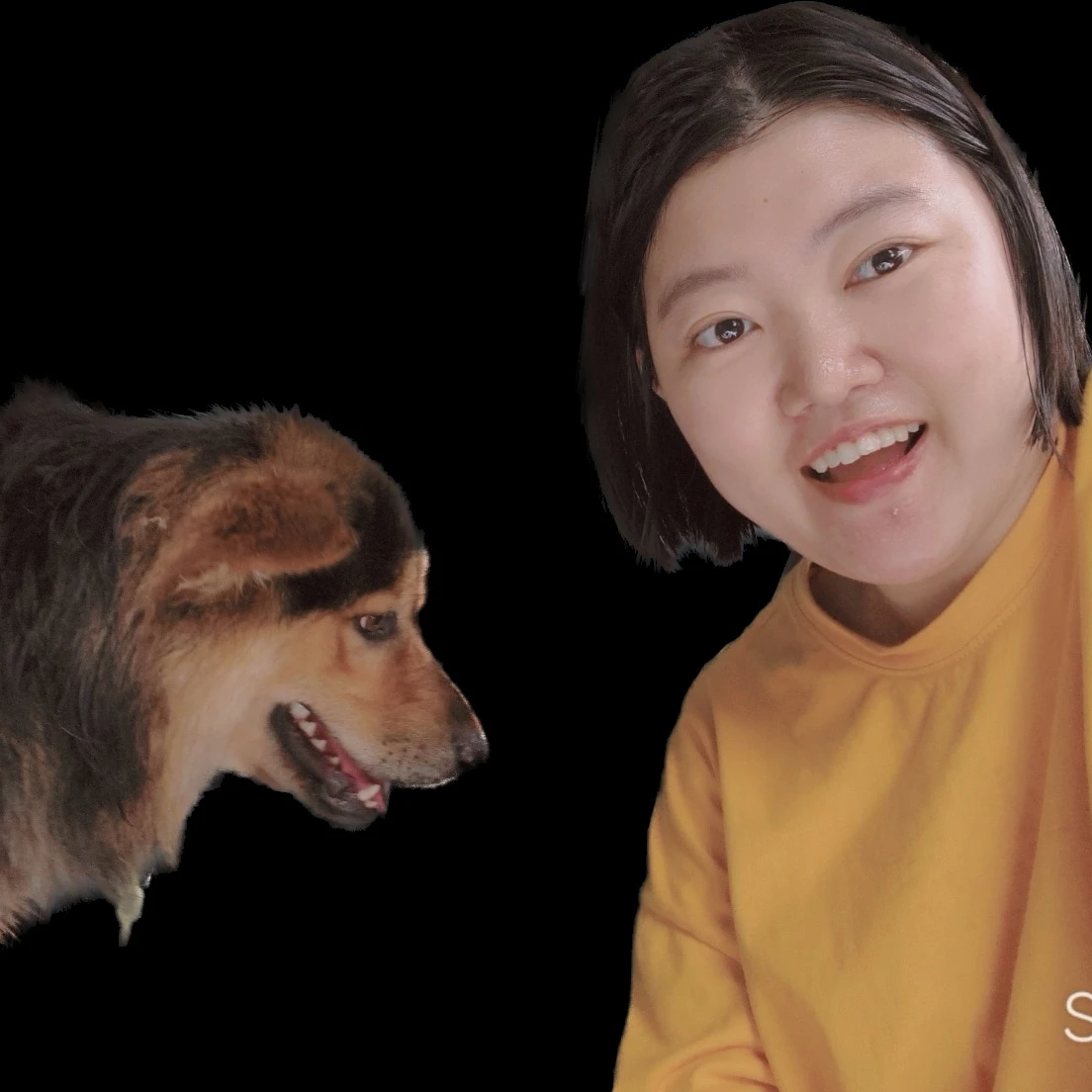 심상사상충 감염시