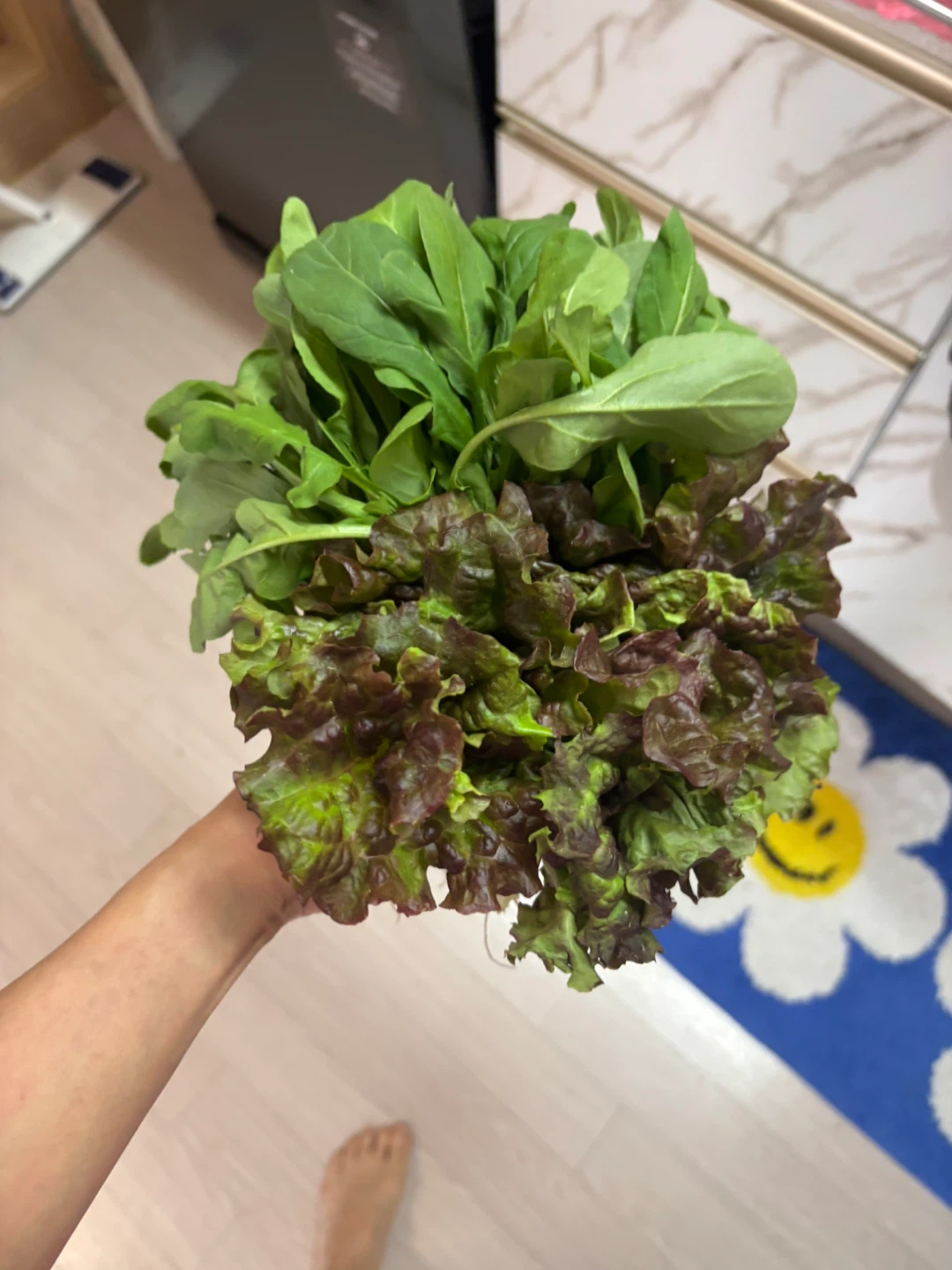 오늘수확
