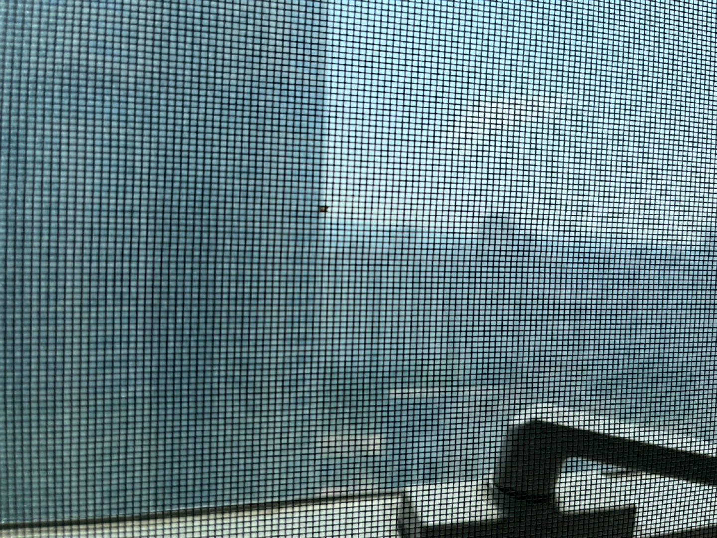 회사에서 본 하늘입니다