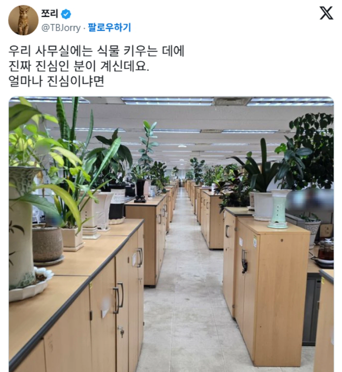 사무실을 화원화한 직원