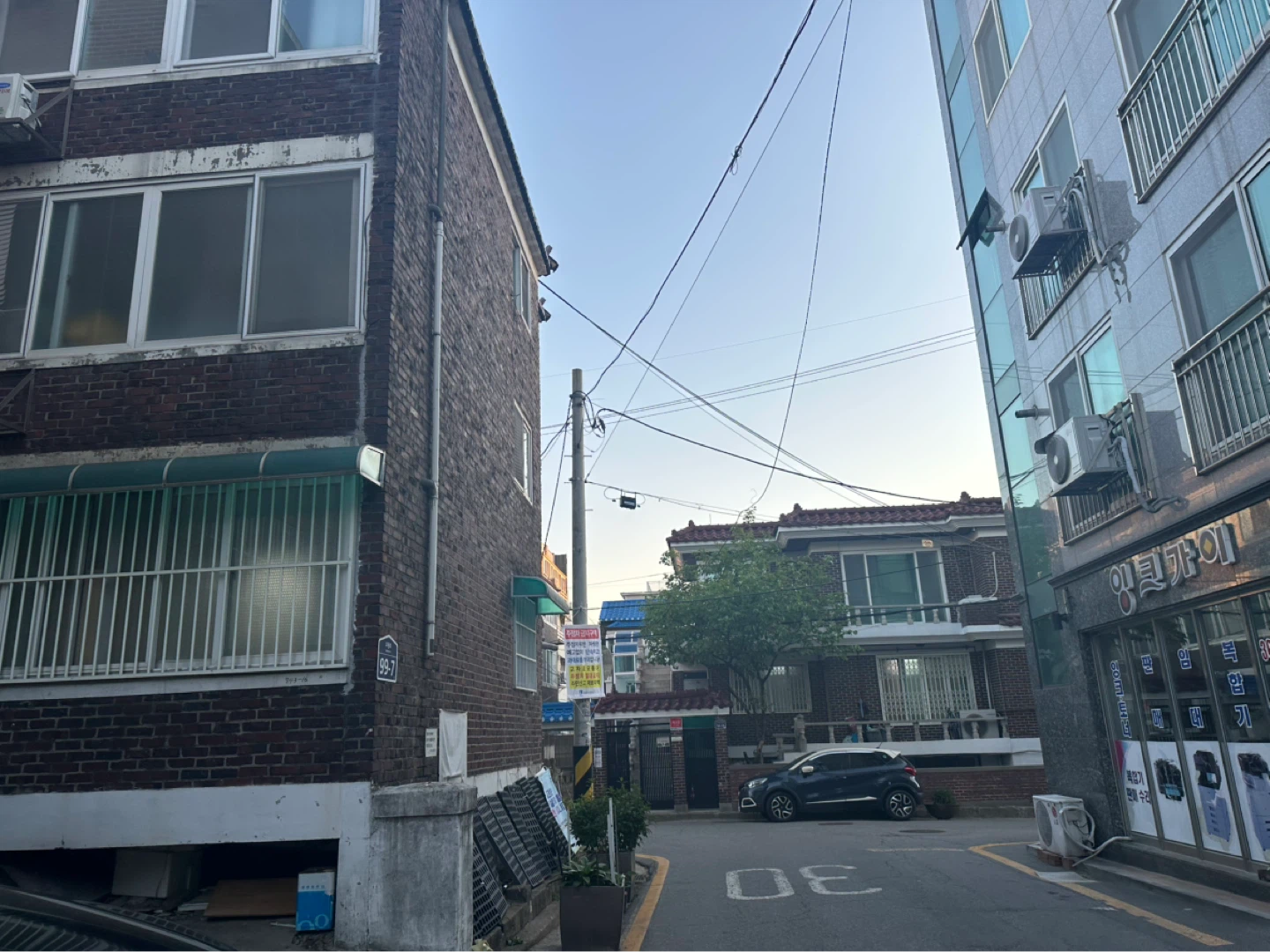 새끼고양이 도움이 필요해 보여요ㅠㅠ!!