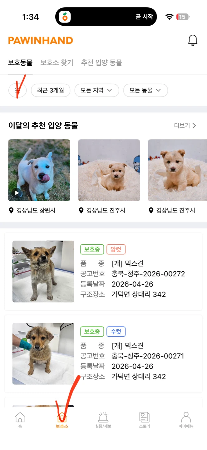 포인핸드 사용법 - 보호동물입양