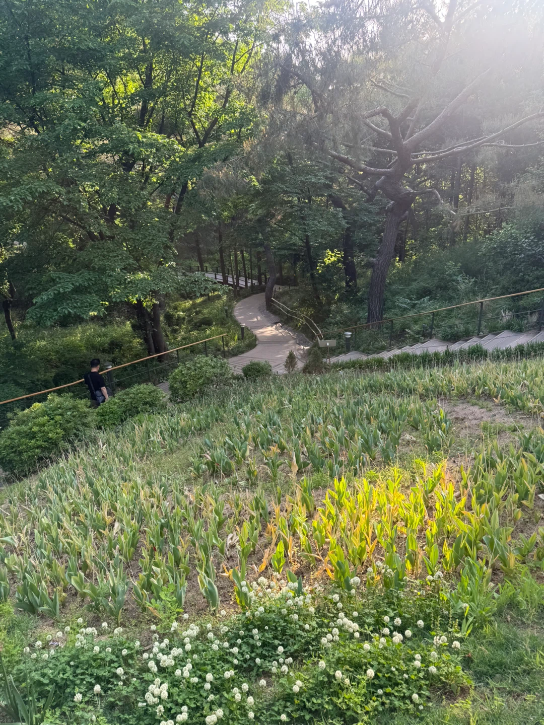 안산허브원 이에요