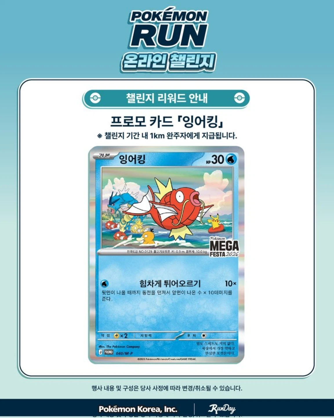 새로운 포켓몬 소식은? 🔔
