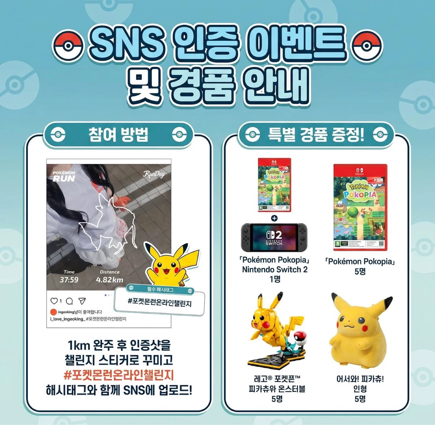 새로운 포켓몬 소식은? 🔔