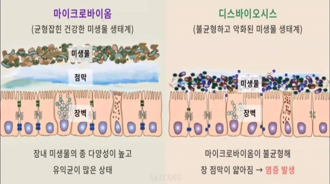 오늘은 장에 대해서