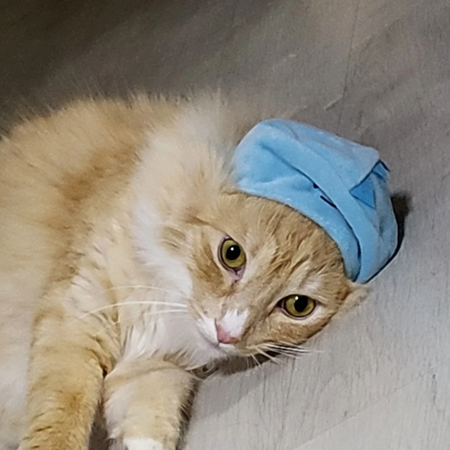 반갑습니다