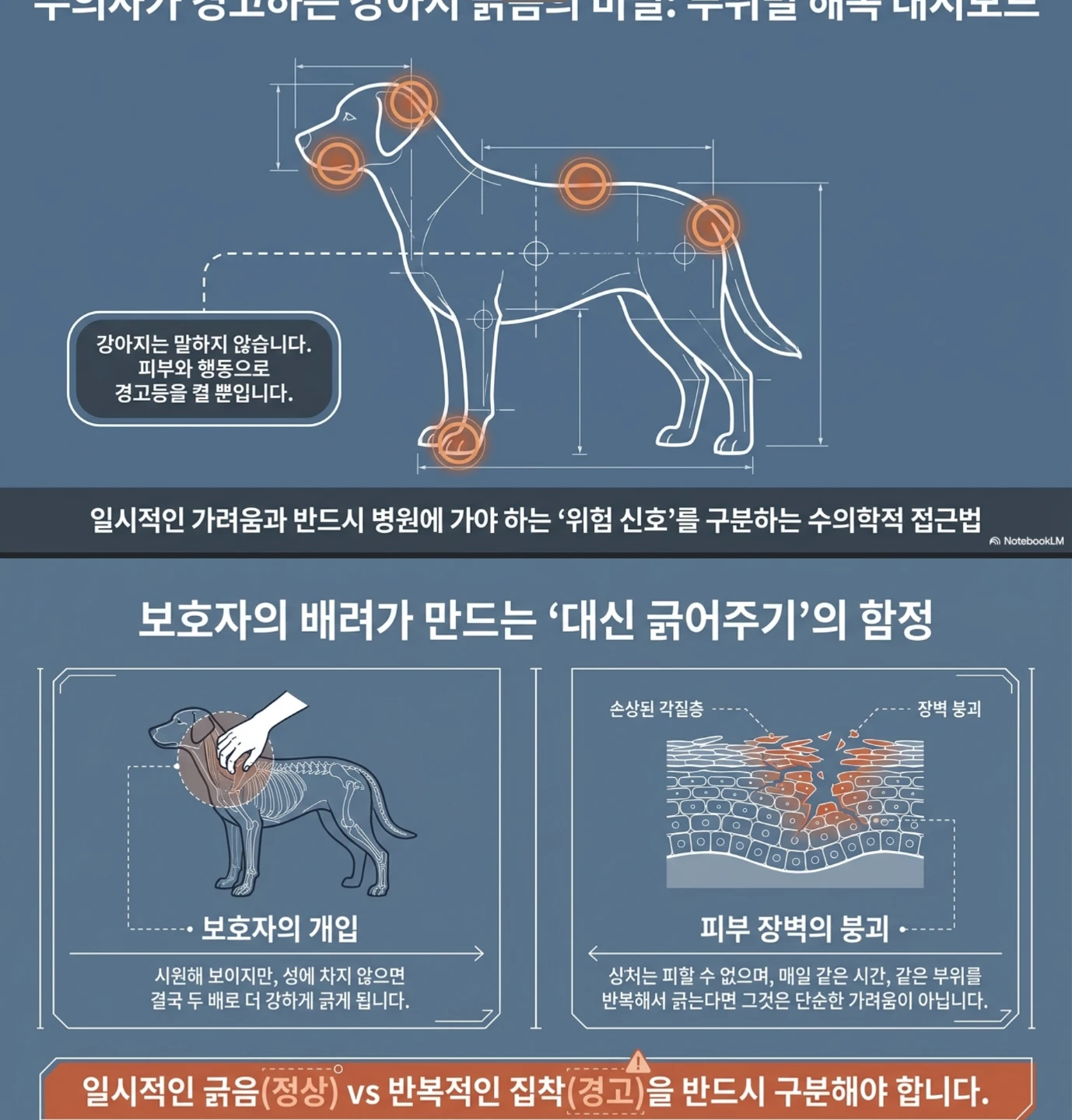 주의해야하는 긁는 행동 체크