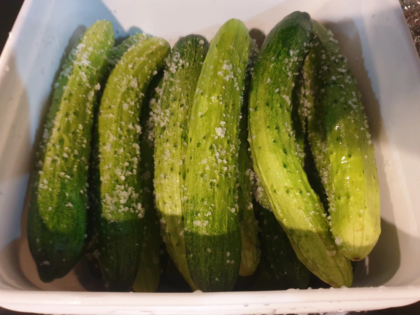 최애 여름반찬 오이지 담갔어요