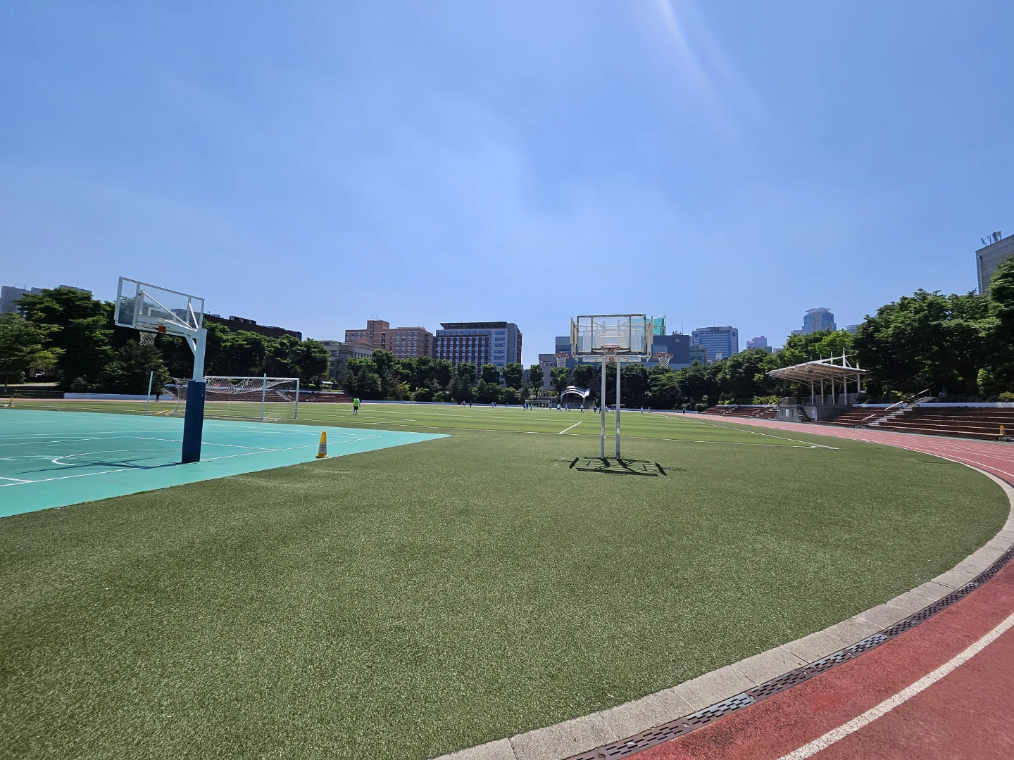 토요일 운동