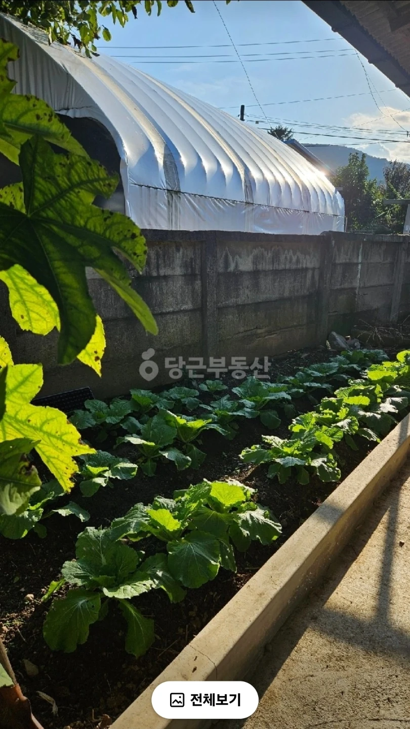 🏡 7,800만원 시골집 발견 (정보공유)