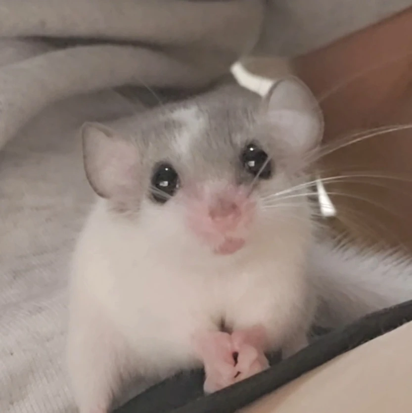 세상에 난지 두달 좀 안됐어요