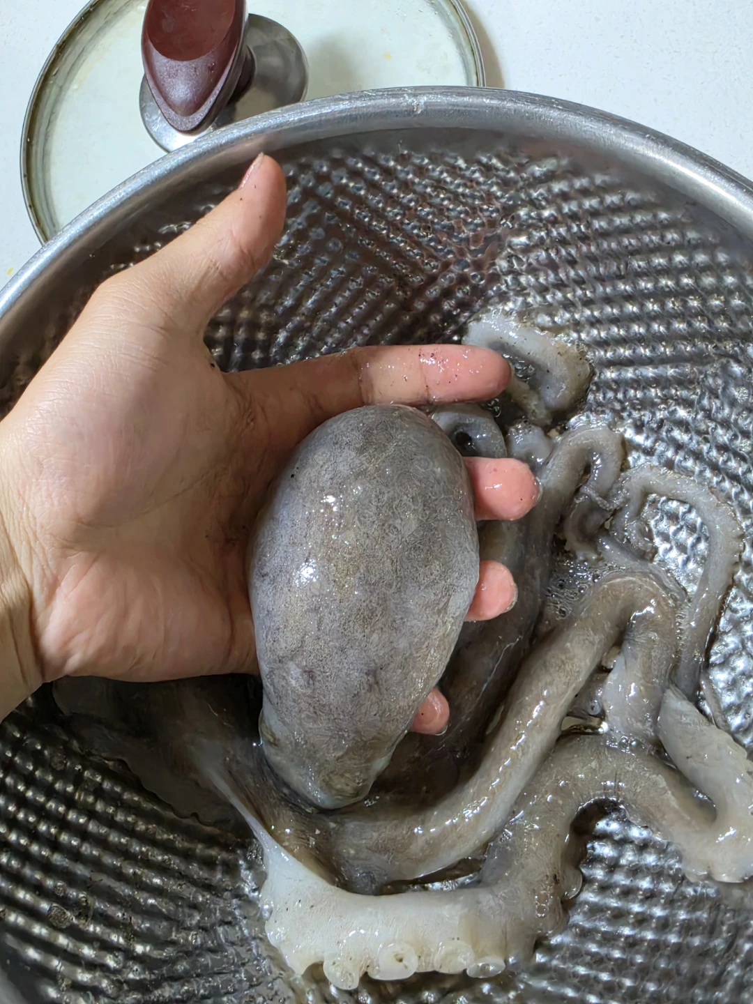 5월17일    해루질 조과