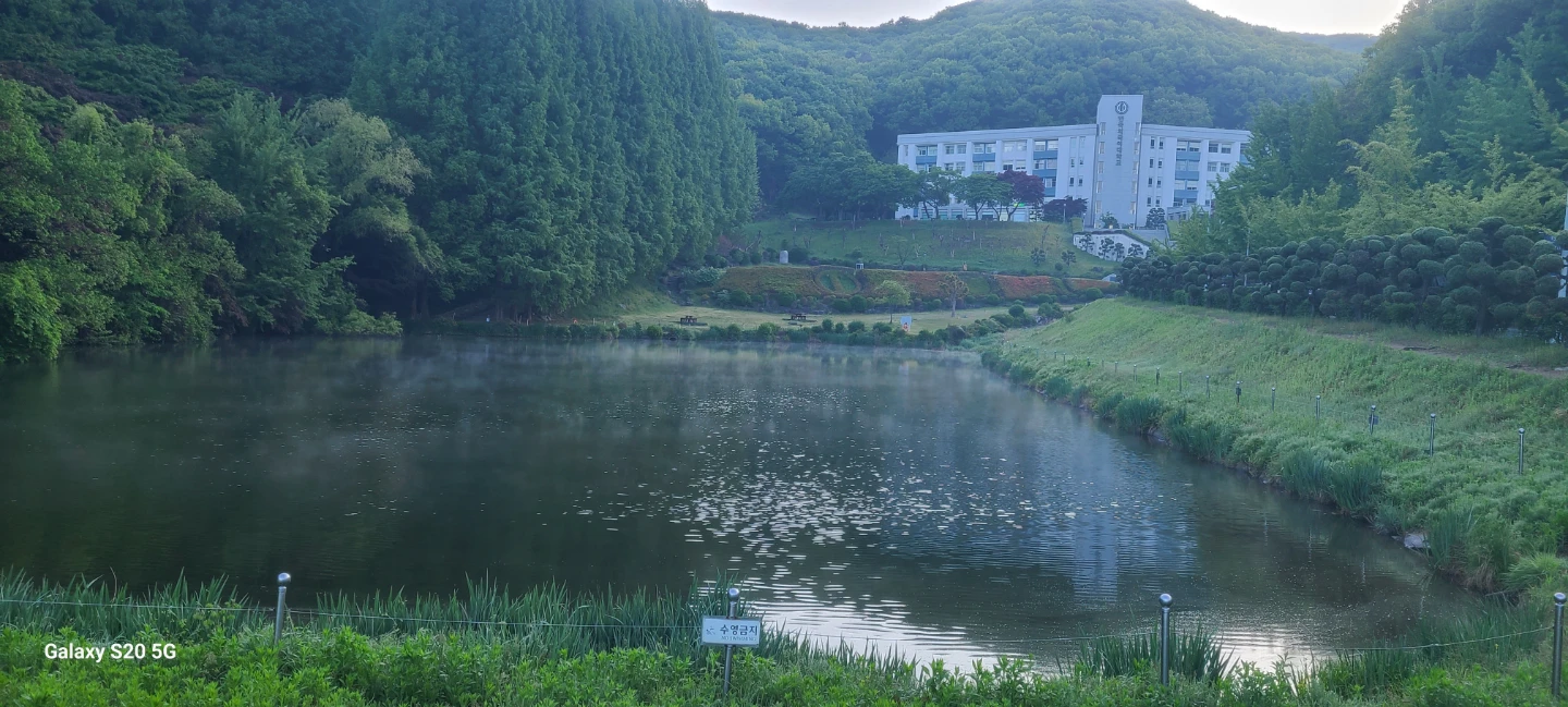어제 12시까지 야근 새벽 4시 기상 인근 산책