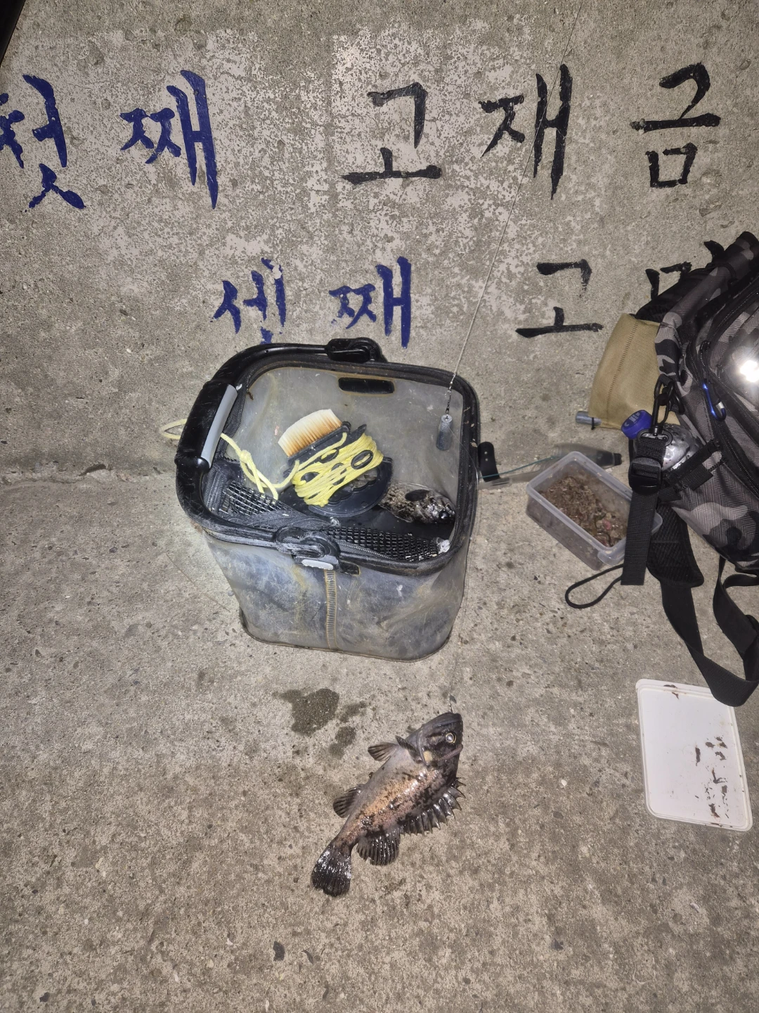 우럭찌낚시
