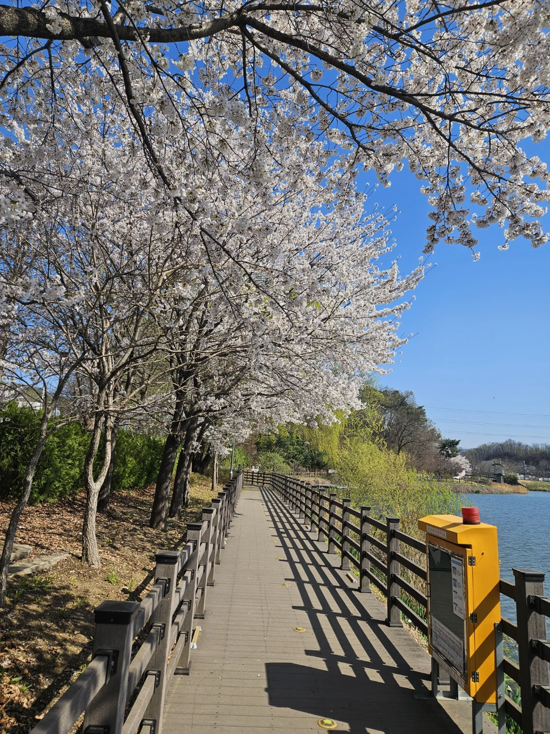 물빛공원