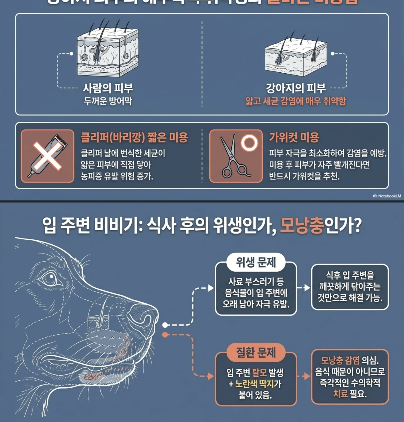 주의해야하는 긁는 행동 체크