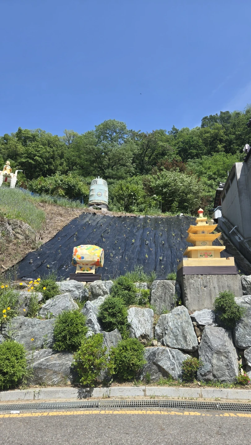 오늘은 산에 산책 다녀왔습니다.