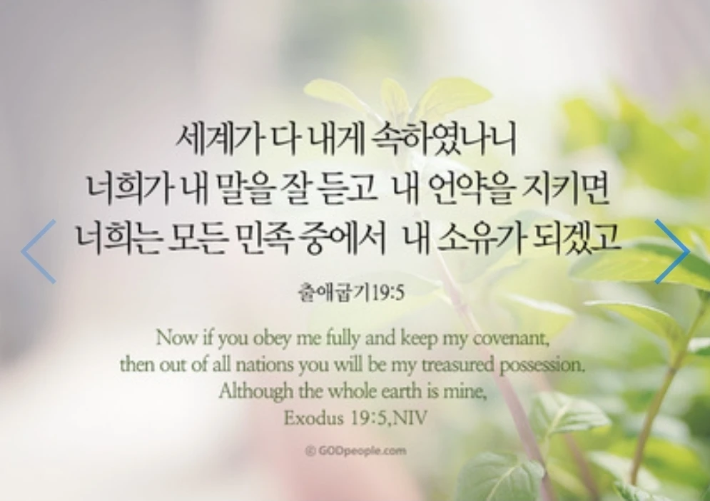 성경 읽기 89일차~다시 일상