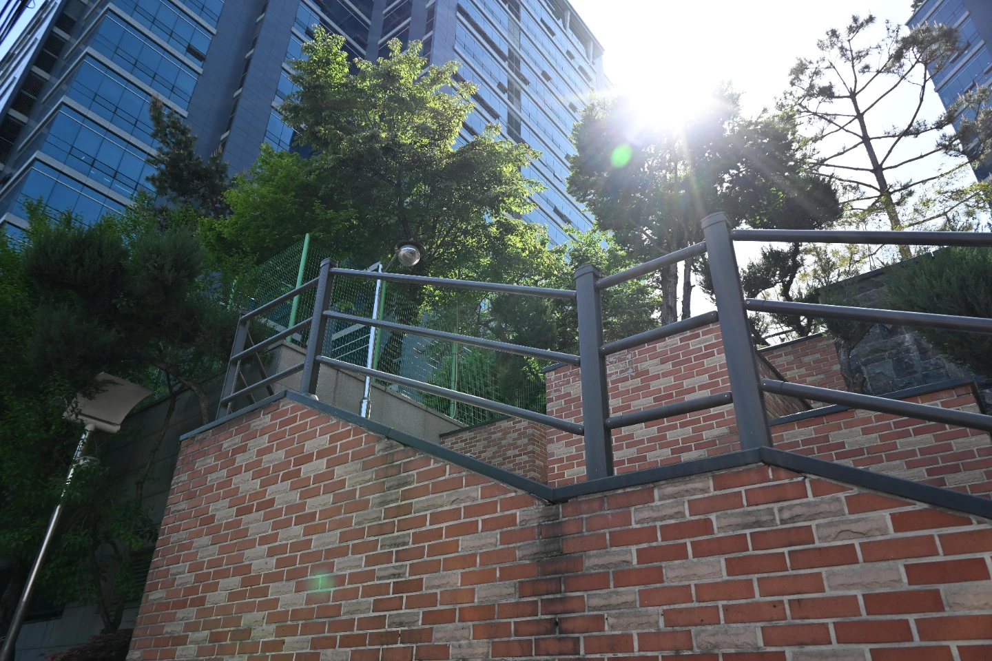 ✨기분 전환 산책 사진