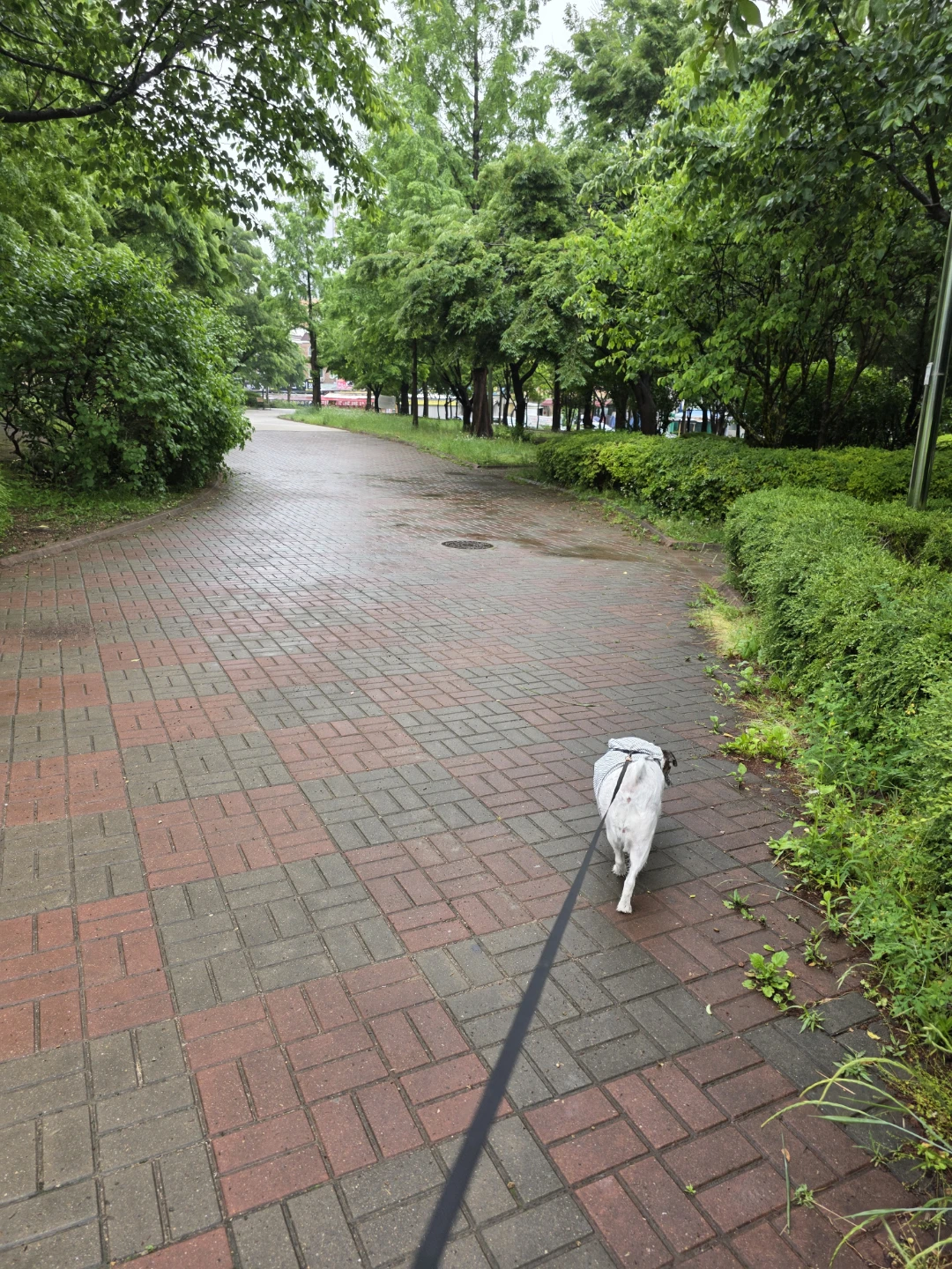 부부이야기 들여다보기