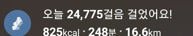 오늘 정왕숲길