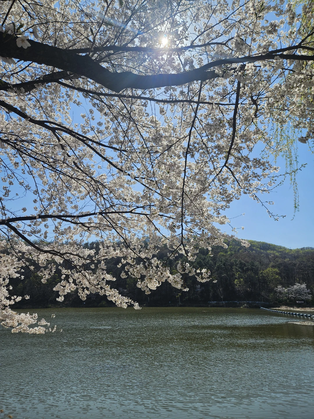 물빛공원