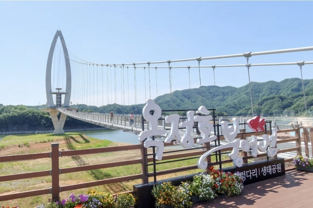 임실 장미축제와 옥정호 작약꽃 보러 가요~~~^^