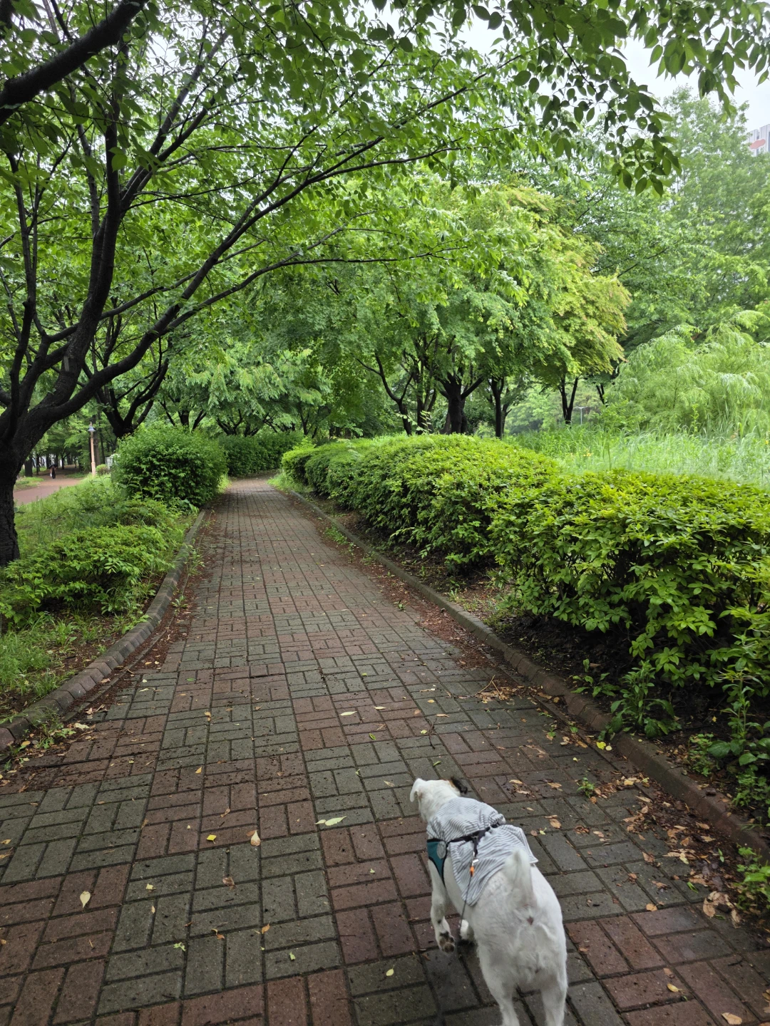 부부이야기 들여다보기
