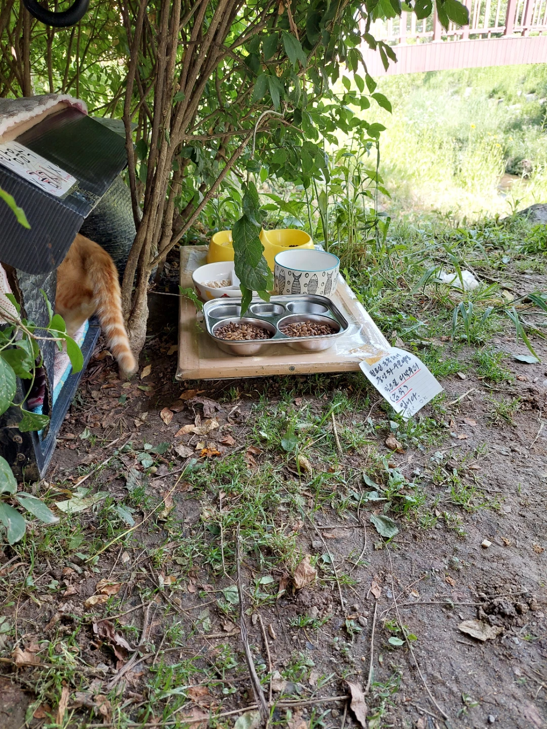 삼둥이주변정리