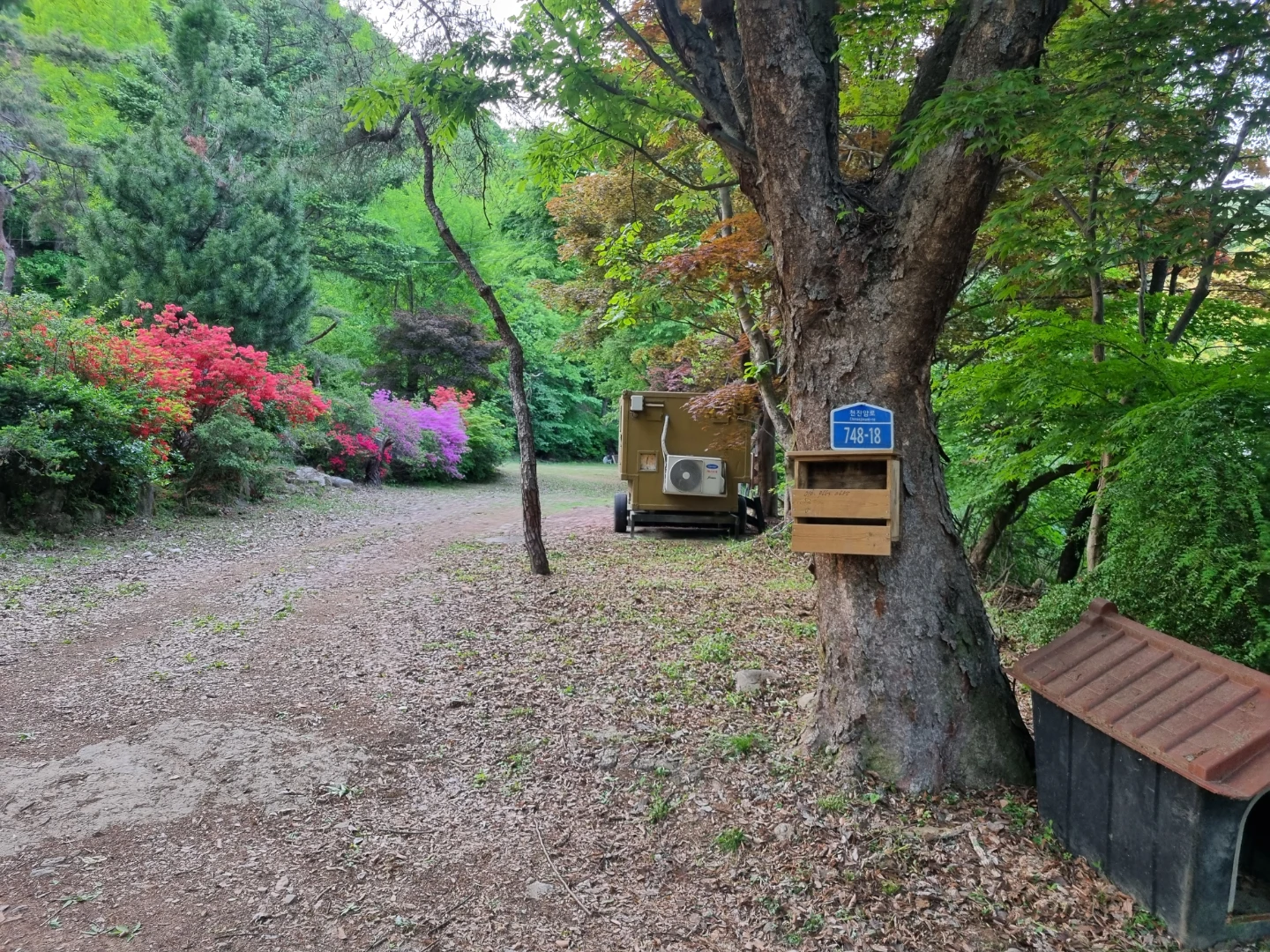 상류사회