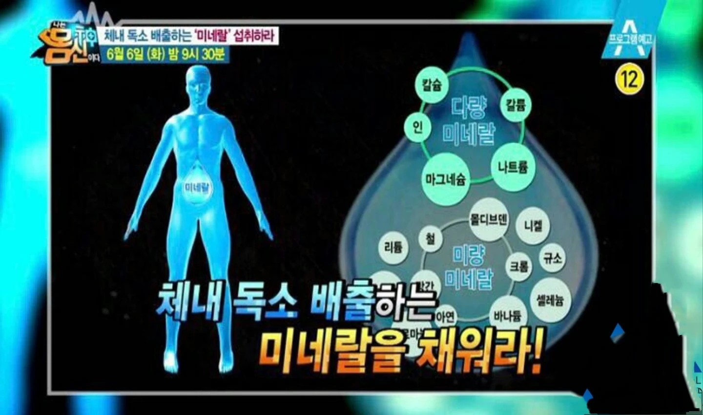 독소배출