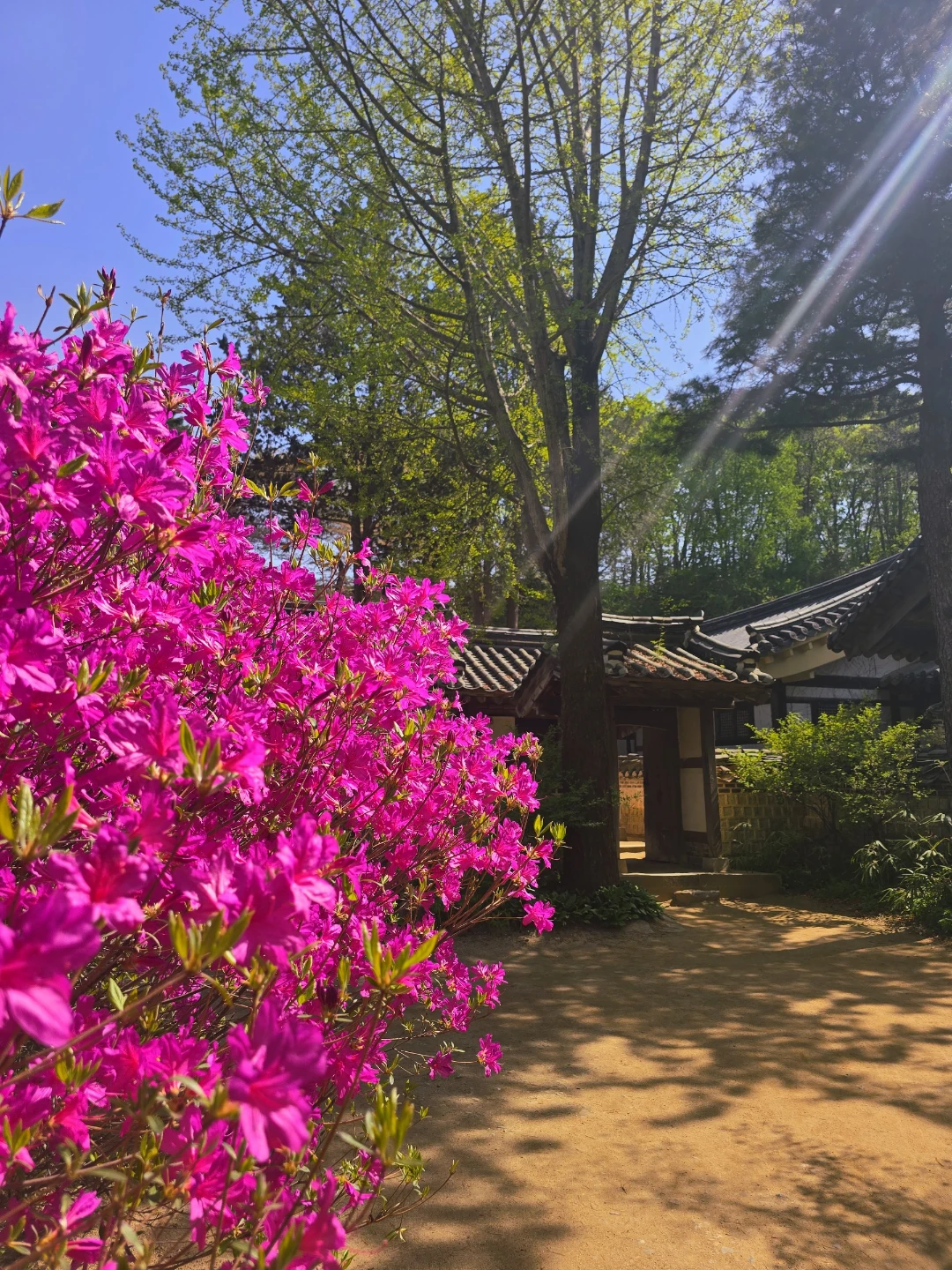 그간의 이야기