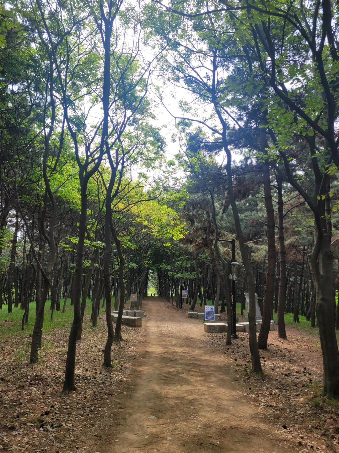 정왕숲길은~