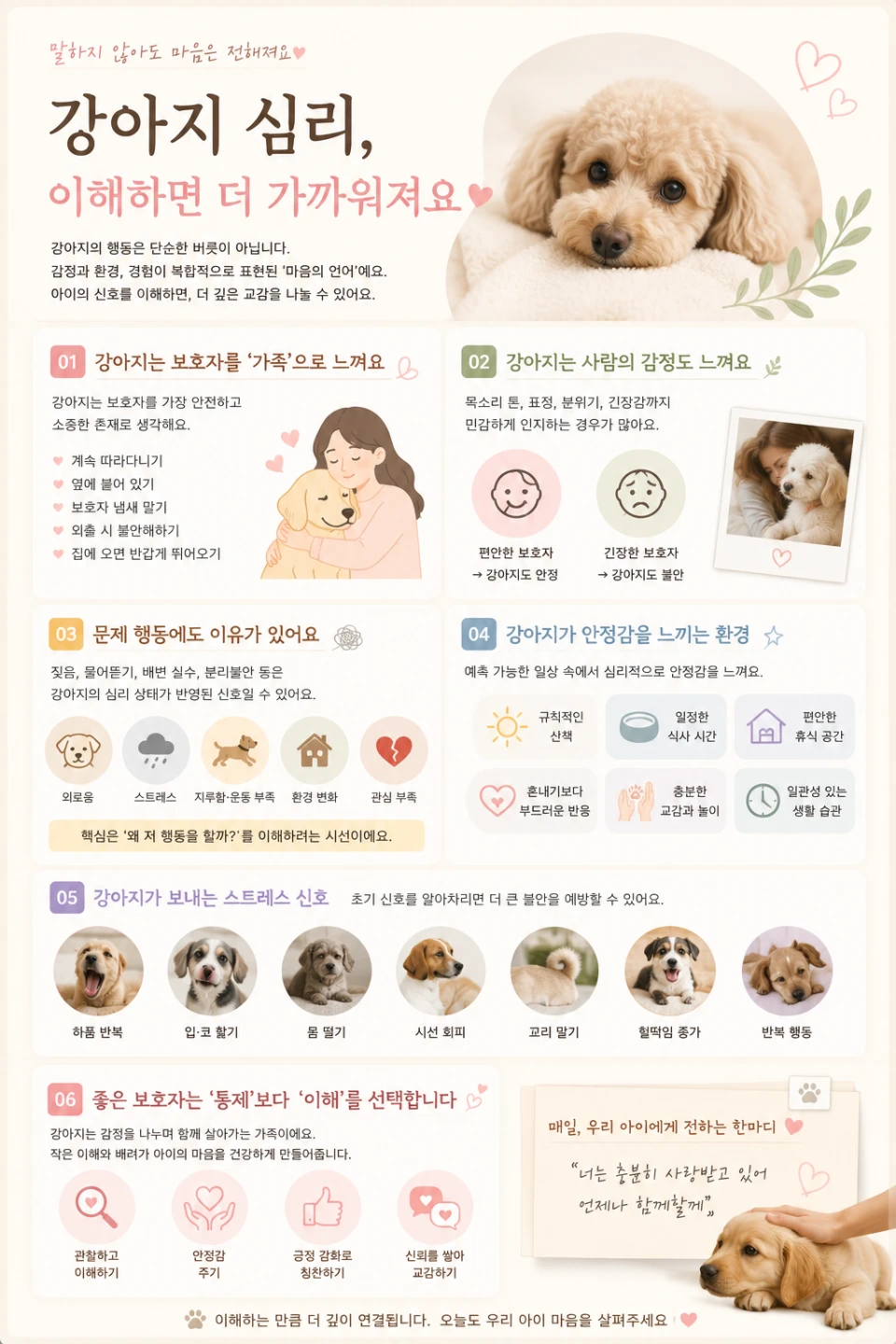 강아지 심리