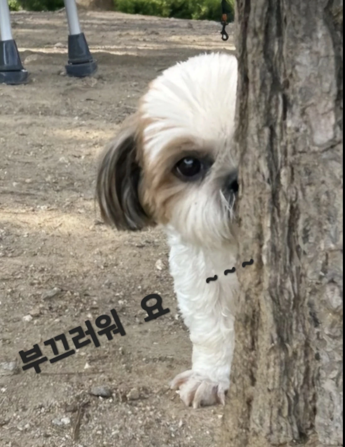 출책