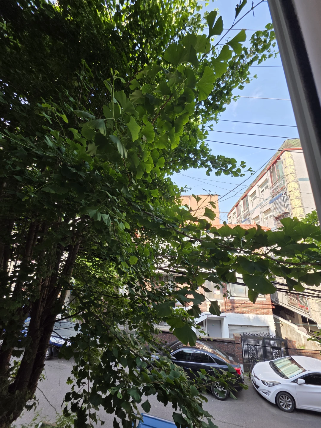 하나님 한번도