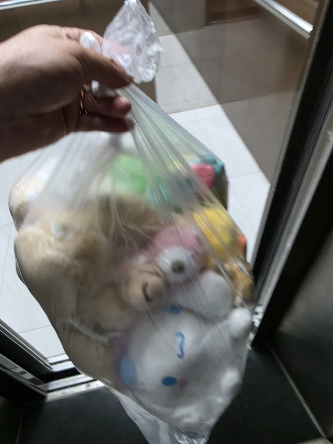 당근 🥕 인형을 수집 하여